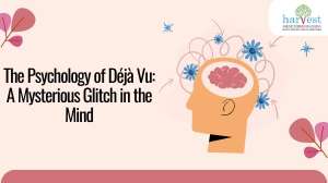 Unlocking the Mystery of Déjà Vu Best IB schools in Bangalore Cambridge schools in Bangalore Memory and perception in students IB schools in Sarjapur Bangalore