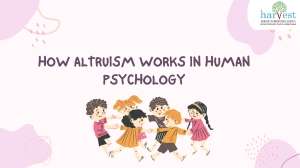 Altruism in Education Best IB schools in Bangalore Best Cambridge schools in Bangalore IB schools in Sarjapur Bangalore Top international schools in Bangalore