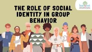 Social identity in students Best IB schools in Bangalore Cambridge schools in Bangalore Emotional development in students Group behavior in schools